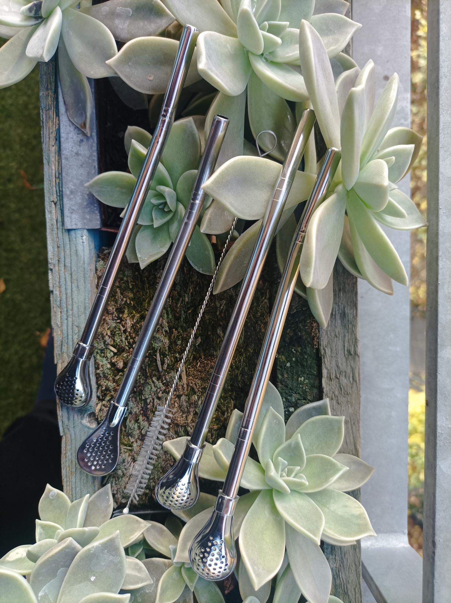 Stainless Steel Bombilla Set (5 Pieces, Silver) – For Mate Tea & Cocktails