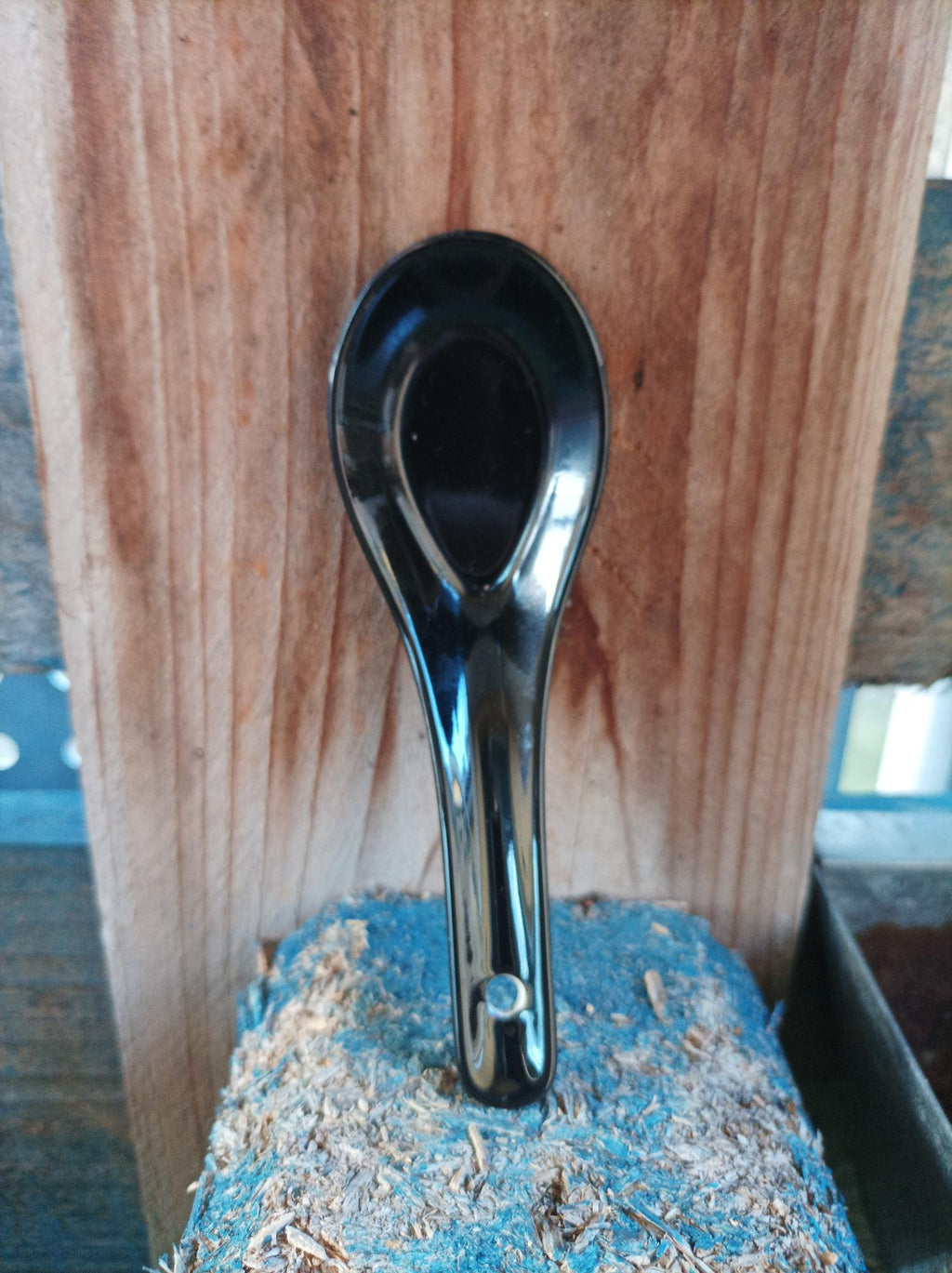 Ceramic Spoon ( 13 x 4 cm )