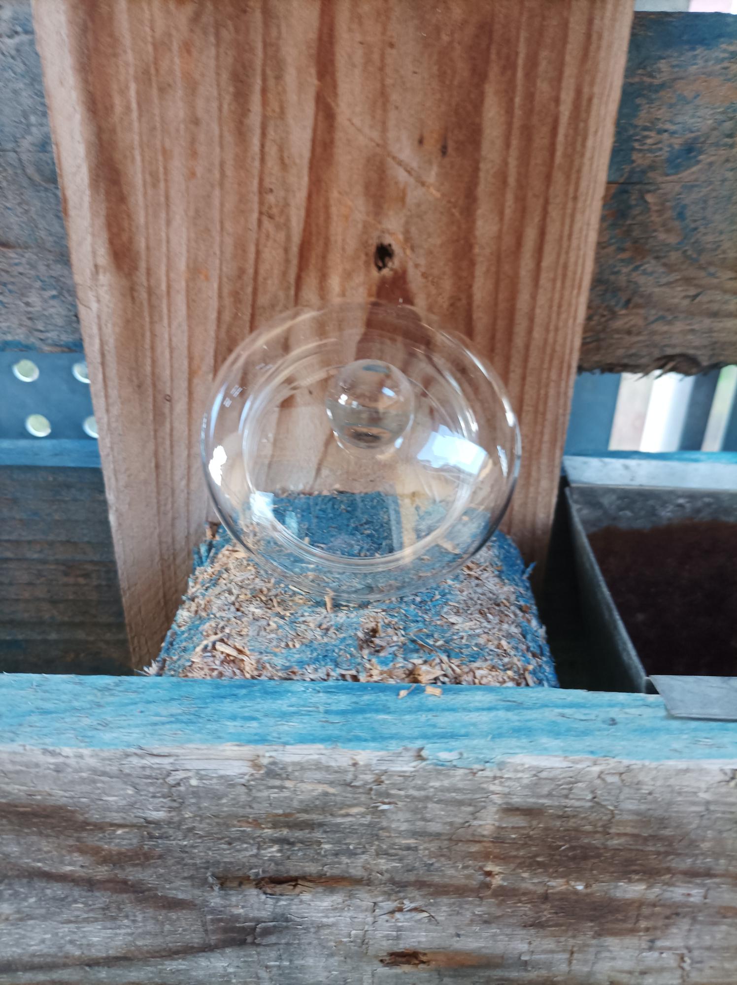 Glass Teapot 1 L Perfect for tea flowers