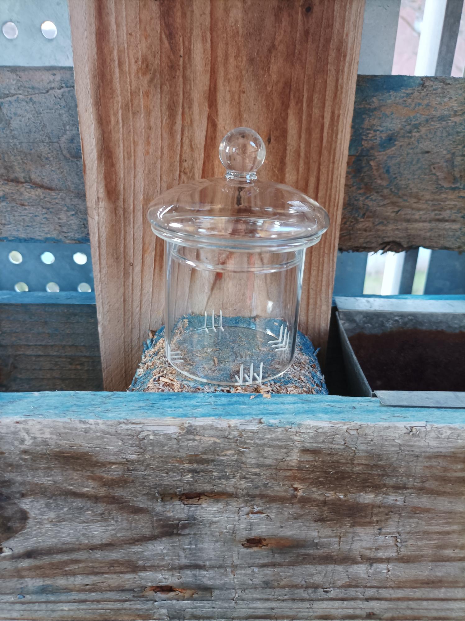 Glass Teapot 1 L Perfect for tea flowers