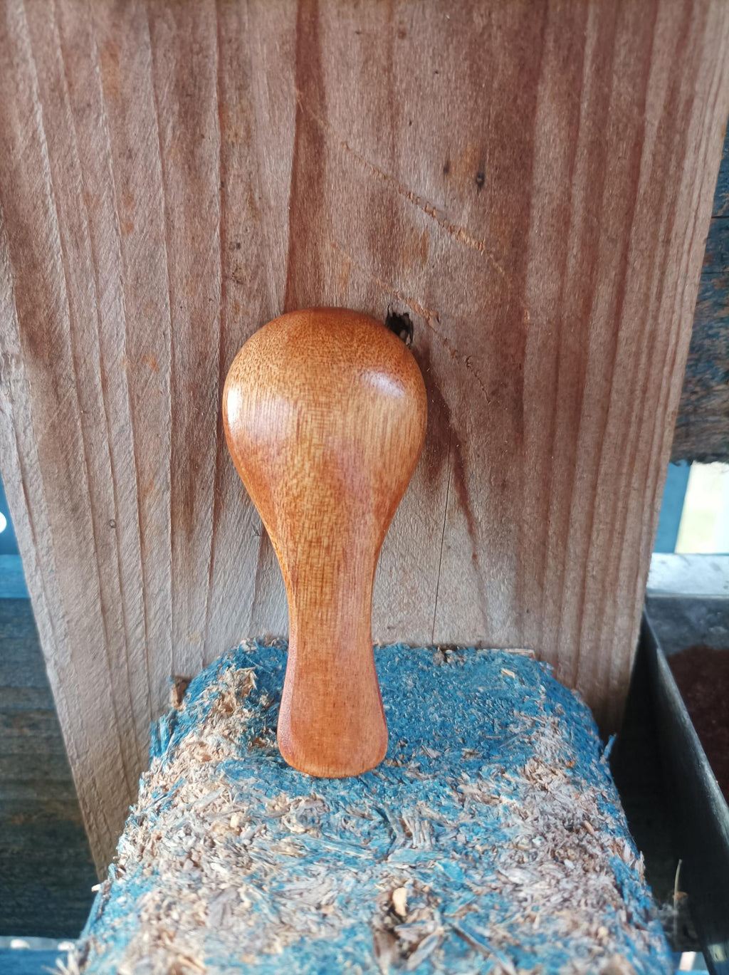 Wooden Spoon (4 x 9cm)