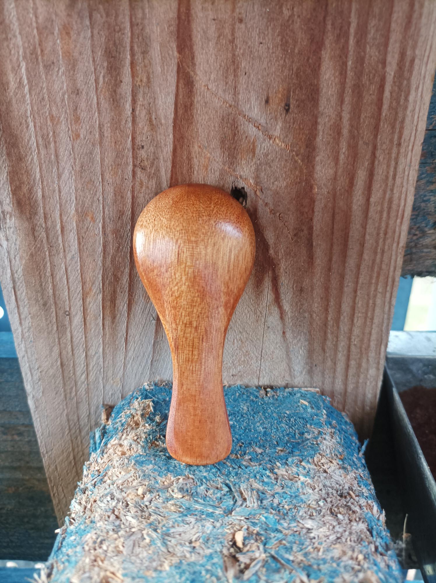 Wooden Spoon (4 x 9cm)
