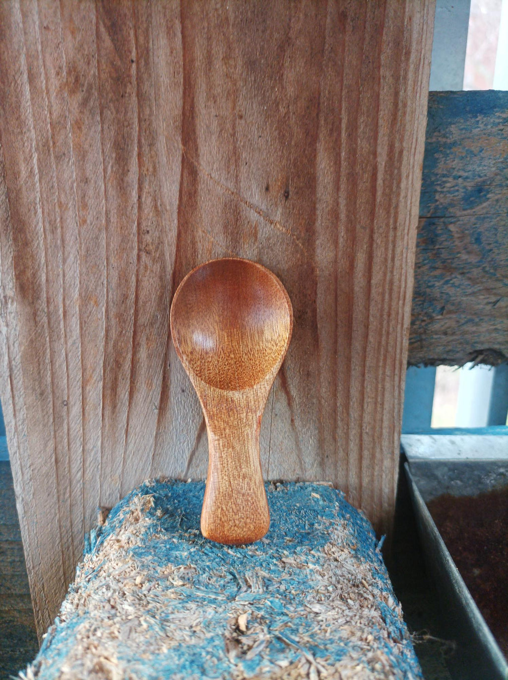 Wooden Spoon (4 x 9cm)