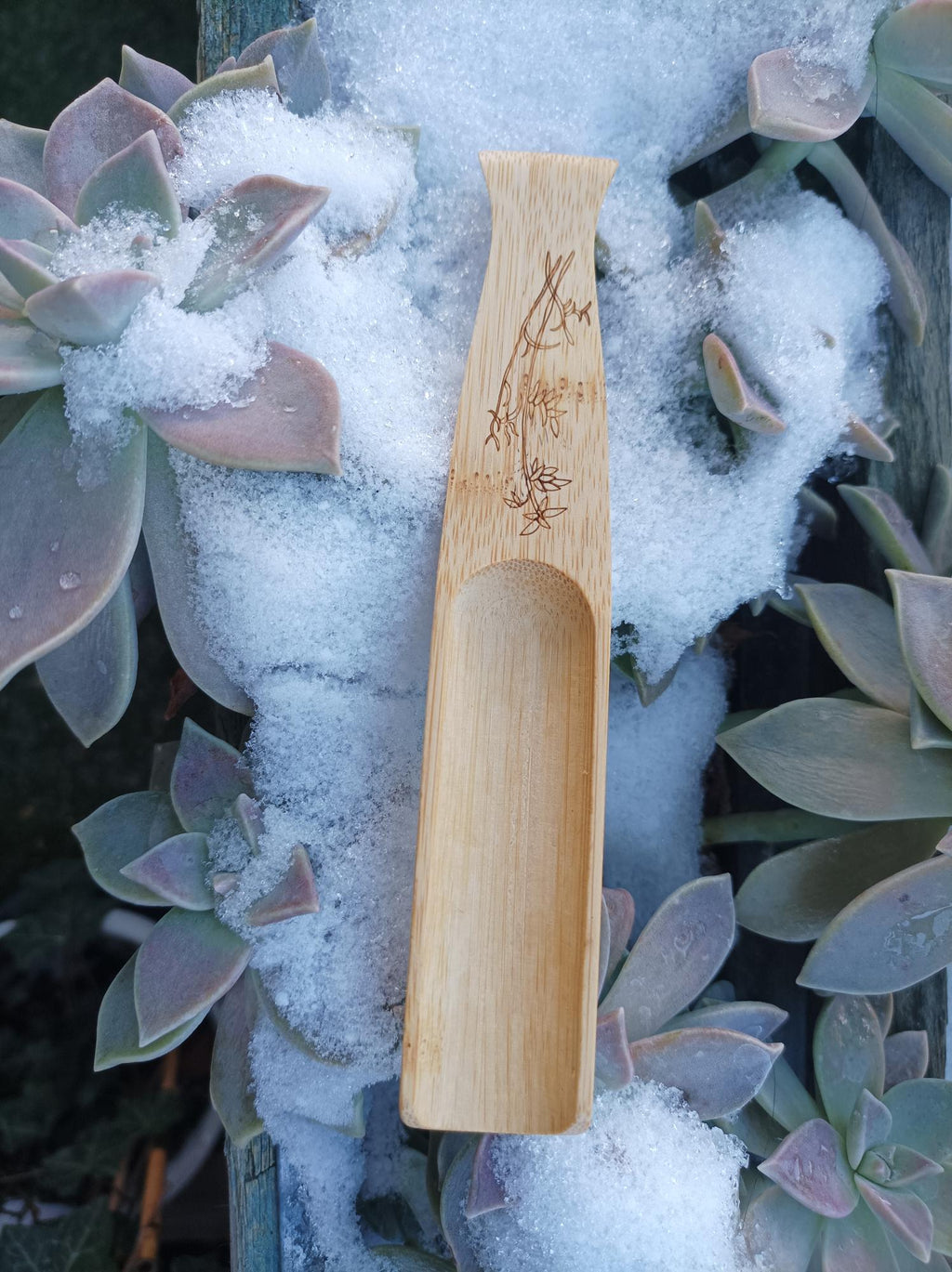 Wooden Tea Ceremony Spoon (16,5 x 3cm)